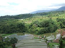 ���̌i�F�����Ȃ��炨�����܂��񂩁H