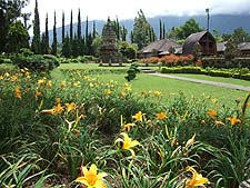 ���Ԃ���t�炢�Ă���Δ�