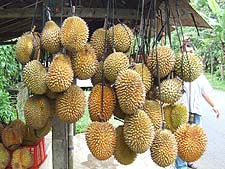 �o���̃h���A���́A����������ǂƂ��Ă��Â��Ă���������ł�