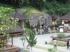 �S�A�E�K�W���̋����̗l�q