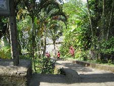 �O�k���E�J�E�B�̐Βi