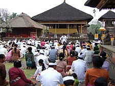 �o�g�D�A�����@�ł��F�������l�X