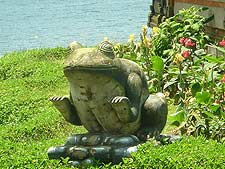 �E�����_�k�E�u���^�����@�̌ΔȂ̃J�G���̒u��