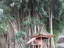 �N�w�����@�̑傫�ȃo��������