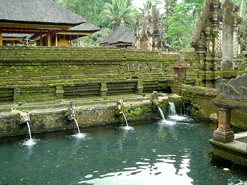 �e�B���^�E�G���v�����@�̟�����