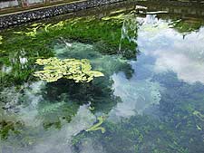 �e�B���^�E�G���v�����@�̐��Ȃ��