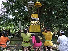 �e�B���^�E�G���v�����@�̋����ŁA�F��������l����