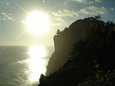 ���������[���̃^�i���b�g