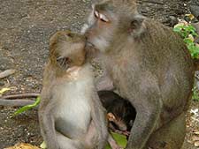 �E�����g�D���@�̂���