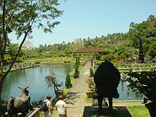 �e�B���^�K���K�̕��i