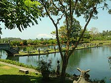 �e�B���^�K���K�̕��i