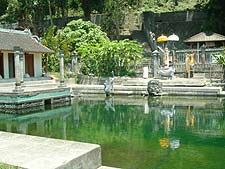 �e�B���^�K���K�̕��i