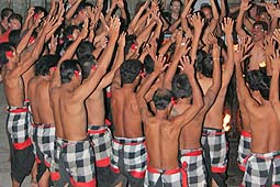 �P�`���_���X�̈���