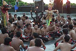 �E�����c���@�̃P�`���_���X