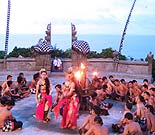 �E�����c�̃P�`���_���X