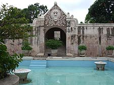 ���̋{�a�^�}���E�T��