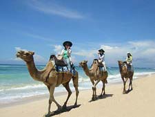 �o���̕l�ӂɂ́A���N�_���s�b�^���I