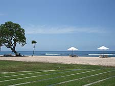 ����ɁA���C�A�������Ĕ����l�ӂł�