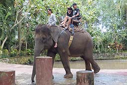 �o�J�X���G���t�@���g�c�A�[�ł̃G���t�@���g���C�h