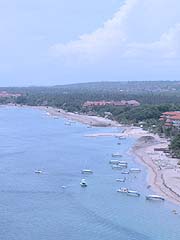 �o���̐��C�Ɛ���ł�