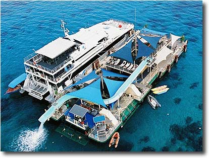 �C�ɕ����Ԑl�H����