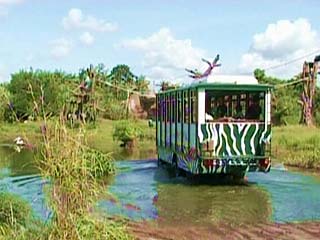 �Ƒ��݂�ȂŊy���߂�o���T�t�@���̃W���[�j�[�g���b�v