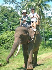 �ۂ���̔w���ł���ăG���t�@���g���C�h�����y���݂�������