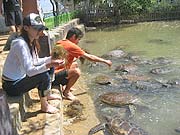 �T����t�̋T�̓��ł�