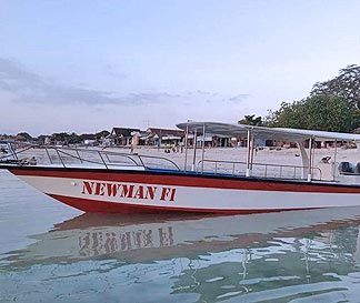 �����{�K�����Ńg���[�����O