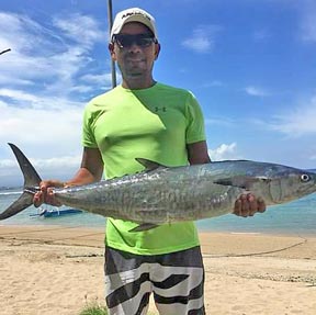 �����{���K�����Ńg���[�����O�t�B�b�V���O