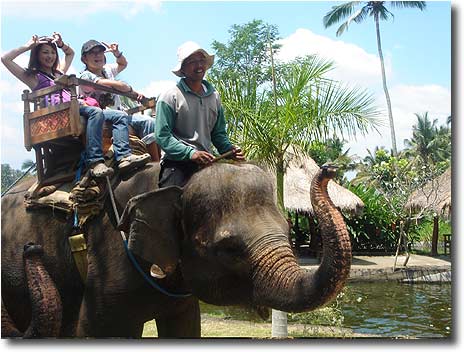 �ۂ̔w���ɗh���Ȃ���E�E�E�E�E