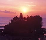 �C���h�m�ɒ��ޑs��ȃ^�i���b�g�̗[��