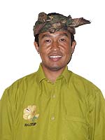 �X�W���i�ł�