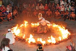 �E�����c���@�̃P�`���_���X