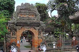 �E�u�h�̃E�u�h���{