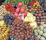 �{�h�D�O���̃p�T�[���̂̃g���s�J���t���[�c