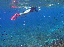 �����{���K�����ŃV���m�[�P�����O