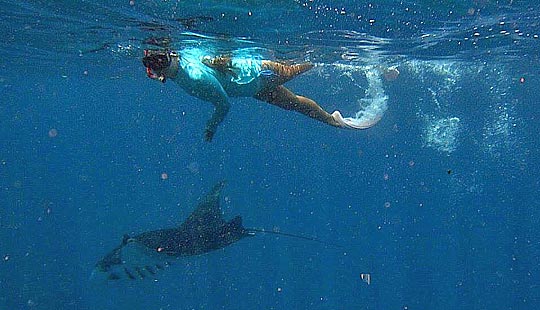 �y�j�_���@�}���^�ɉ��V���m�[�P�����O�c�A�[