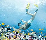 �V���m�[�P�����O