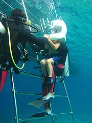 �}�����E�H�[�N�E�E�E�������ꂩ��C�̒��ցI