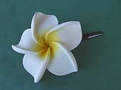 �v�������A�̉Ԃ̔�����