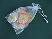 ���ɕ����Ԃ��Ԃ̃L�����h��