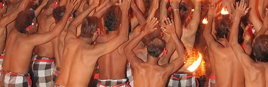 �E�����c�̃P�`���_���X