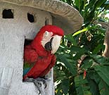 �����ŏo����I