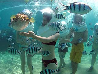 �����ɂȂ����C���ŊC���U�����E�E�E