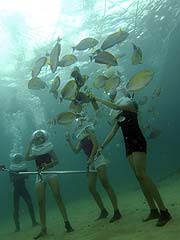 �C�̒���Ă���ȂɈ�t�����������ł��ˁI