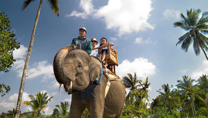 エレファントサファリ