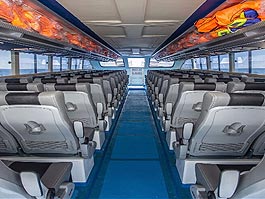 ペニダ島のマンタ