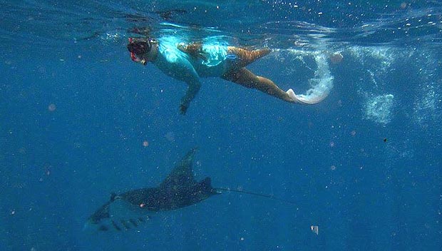 マンタと会えるシュノーケリングツアー