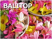 バリトップツアー＆トラベルについて